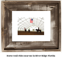 horse trail rides near me in River Ridge, Florida